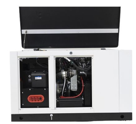Générateur de gaz naturel 1phase Propane Butane mélange de 10kw15kw pour votre bénéfice