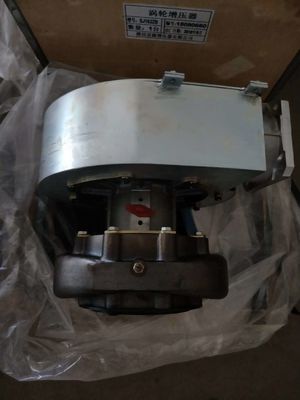 Installation fixe W12V190 Parties de générateur de gaz naturel Shengdong avec type de sortie en courant continu