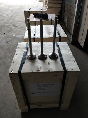 Personnalisation 118KG W12V190.03.01 Valve d'admission pour le générateur de gaz naturel de 500 kW Shengdong