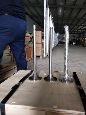 Personnalisation 118KG W12V190.03.01 Valve d'admission pour le générateur de gaz naturel de 500 kW Shengdong