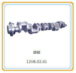 Assemblage de vilebrequin de 200 kW pour générateurs de gaz demande personnalisée Shengdong vous a couvert
