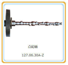 Type de sortie en courant continu 200 kW 127.06.30-Z Assemblage d'arbre à cames pour pièces de moteur à gaz Shengdong