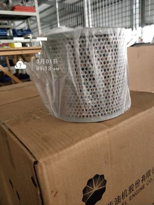 Parties de générateur de gaz 12V190 certifié ISO 12vb. 18.10b Filtre à huile pour 200kW Shengdong