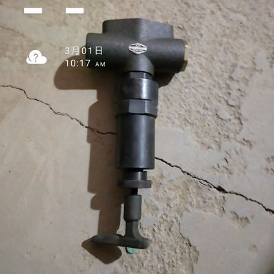 CNPC Jichai Power Company Limited G12V190ZLDT avec certification ISO9001