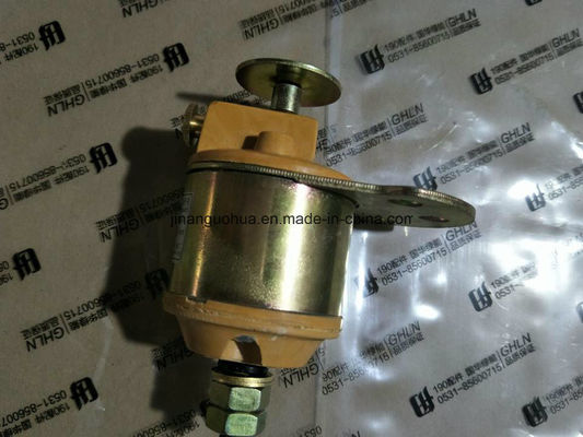 Jinan Guohua générateur diesel piston demande personnalisée pour les générateurs Jichai