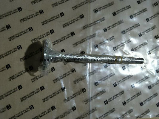 Parties de moteur de bateau Jinan Guohua Piston pour générateurs Jichai et accrédité ISO 9001