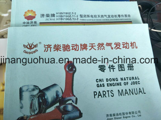 Valve de régulation de la pression du gaz naturel 500GF-T Jichai Shengdong 190 cylindre certifié CE