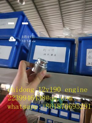 Co1300f-3/25 Modèle Bl12V190 Zl-3 Jinan Pièces de moteur diesel avec certification ISO9001