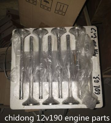 Co810f-3/22 G12V190zl-3 Jinan Diesel Moteur Pièces 12V190 La broche de piston à un prix abordable