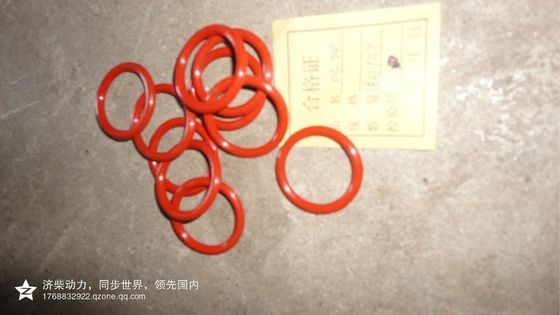 Installation fixe 6190 Chidong moteur diesel marin à la Russie Jinan en forte demande