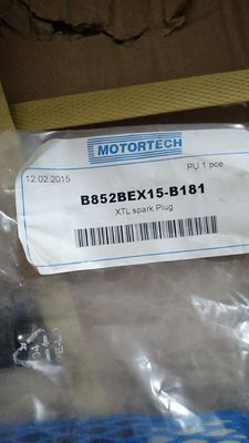 Motortech Bougie d'allumage Bex15-B181 Type de sortie AC Méthode de refroidissement à trois phases Refroidissement à l'eau