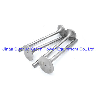 Refroidissement par eau Pz12V190b-2 Pièces de moteur Jichai Chidong pour terrain et conditions d'efficacité