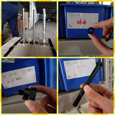 Moniteur d'assemblage personnalisé du moteur diesel Chidong H12V190 pour le marché malaisien