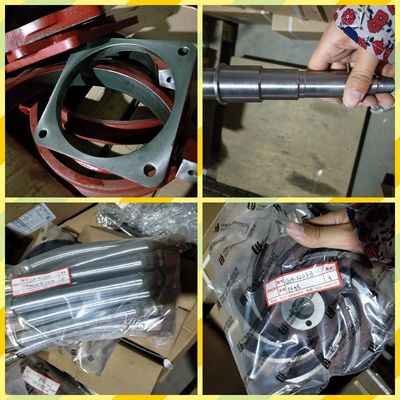 Moniteur d'assemblage personnalisé du moteur diesel Chidong H12V190 pour le marché malaisien