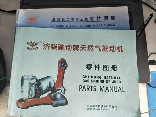 Générateur diesel avec sortie en courant continu de type 12V190 16V190 Jichai Jinan Parties de moteur diesel