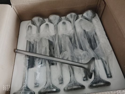 Le moteur diesel marine 4 en ligne Jichai Chidong à Jinan pour Marine 4190zlc-2
