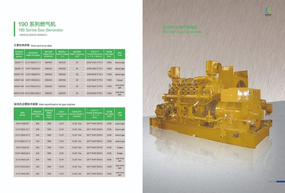 Générateur de gaz de la série 190 500GF-Tk1 à alimentation directe avec services en ligne Service après-vente