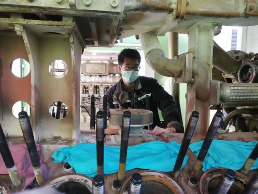 Générateurs à turbine à gaz de Jinan Biogas Genset avec sortie à trois phases de 600kVA