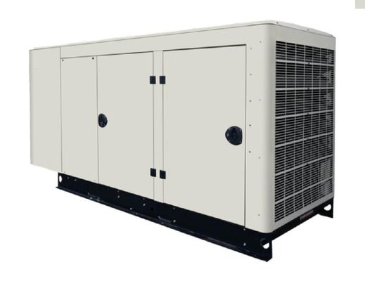 Générateur de biogaz de 60 kVA pour abattoir agricole 1500 / 1800 Rmp